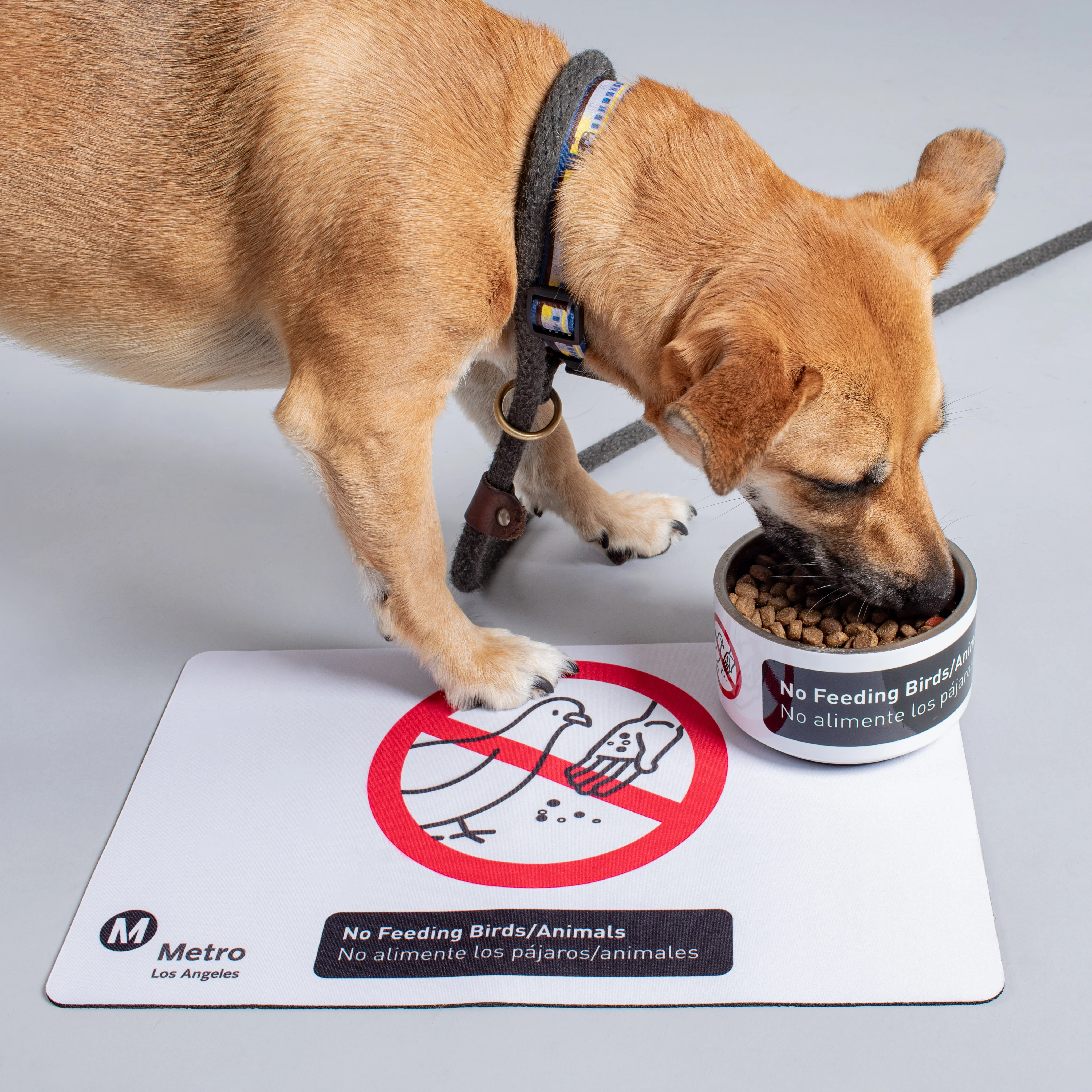 Code of Conduct Pet Bowl Placemat - Image 3